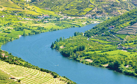 Douro River Valley